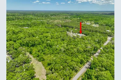 1370 Buckles Road, Pierson, FL 32180 - Photo 57