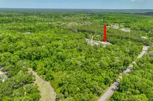 1370 Buckles Rd, Pierson, FL 32180 - Photo 57