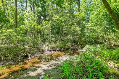 1370 Buckles Road, Pierson, FL 32180 - Photo 49