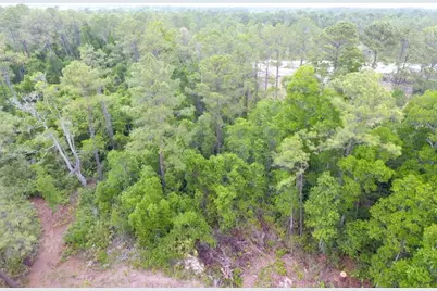 161 Snake Hill Road, Crescent City, FL 32112 - Photo 3