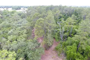 161 Snake Hill Rd, Crescent City, FL 32112 - Photo 1