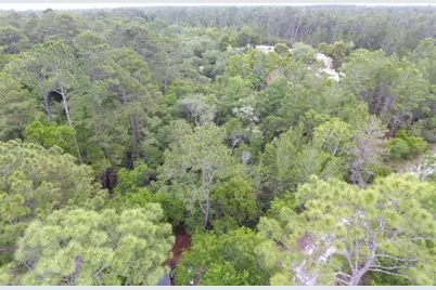 161 Snake Hill Road, Crescent City, FL 32112 - Photo 5