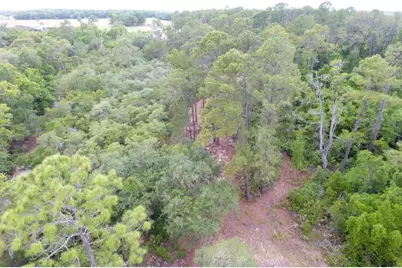 155 Snake Hill Road, Pomona Park, FL 32181 - Photo 1