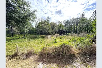 4339 Northern Dancer Way, Orlando, FL 32826 - Photo 53