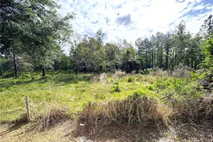 4339 Northern Dancer Way, Orlando, FL 32826 - Photo 53
