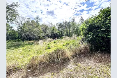 4339 Northern Dancer Way, Orlando, FL 32826 - Photo 49