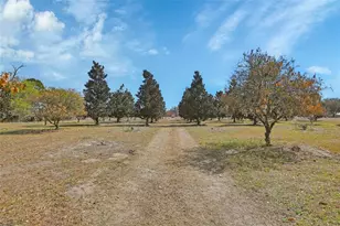 1403 Blackwelder Rd, De Leon Springs, FL 32130 - Photo 51