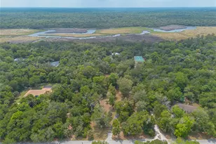 5768 John Anderson Hwy, Flagler Beach, FL 32136 - Photo 43