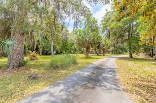 5768 John Anderson Hwy, Flagler Beach, FL 32136 - Photo 3