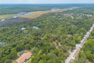 5768 John Anderson Hwy, Flagler Beach, FL 32136 - Photo 45