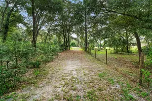 1268 McGregor Rd, Deland, FL 32720 - Photo 39