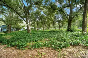 1268 McGregor Rd, Deland, FL 32720 - Photo 41
