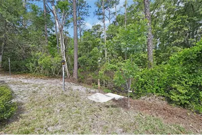 25801 Blue Lakes Drive, Paisley, FL 32767 - Photo 23