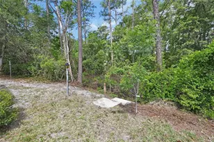 25801 Blue Lakes Dr, Paisley, FL 32767 - Photo 23
