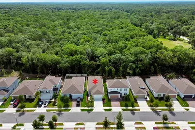 2132 Canopy Terrace Boulevard, Deland, FL 32724 - Photo 5