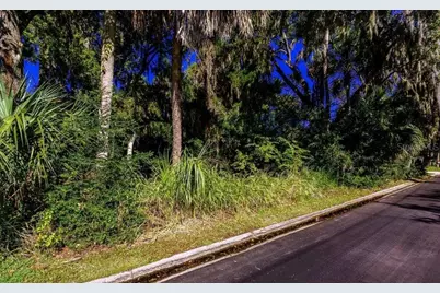 493 Hammock Lane, Ormond Beach, FL 32174 - Photo 3
