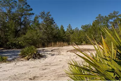North Road, Pierson, FL 32180 - Photo 13