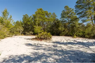 North Road, Pierson, FL 32180 - Photo 11