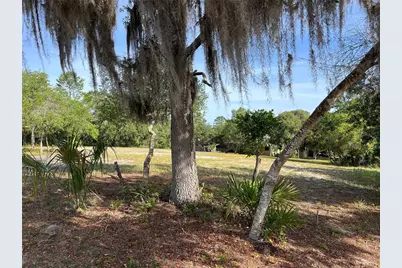 Ranchero Road, Deland, FL 32720 - Photo 7