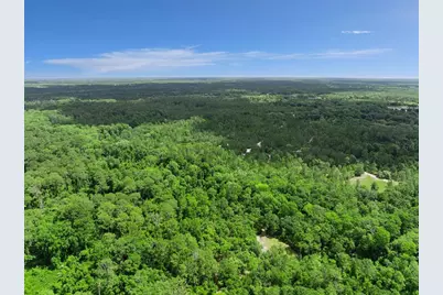 1140 Buckles Road, Pierson, FL 32180 - Photo 37