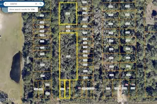 728 Osteen Maytown Rd, Osteen, FL 32764 - Photo 1
