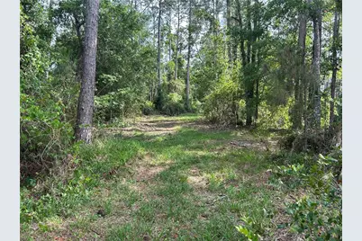 2585 Vista Park Drive, Deland, FL 32724 - Photo 11