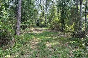 2585 Vista Park Dr, Deland, FL 32724 - Photo 11