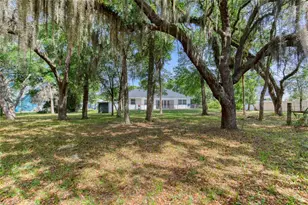 15 Maple St, Flagler Beach, FL 32136 - Photo 71
