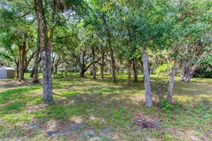 15 Maple St, Flagler Beach, FL 32136 - Photo 67