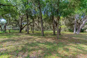 15 Maple St, Flagler Beach, FL 32136 - Photo 69