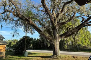 1673 Blackwelder Rd, De Leon Springs, FL 32130 - Photo 23