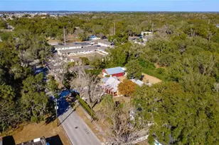 1148 N Grandview St, Mount Dora, FL 32757 - Photo 71