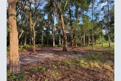 Spring Garden Ranch Rd, De Leon Springs, FL 32130 - Photo 3