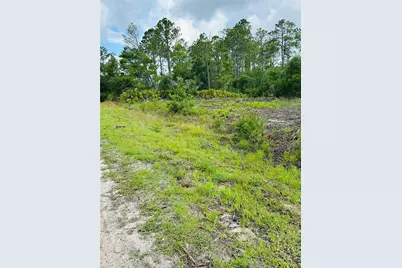 2873 Laurel Road, Deland, FL 32724 - Photo 5