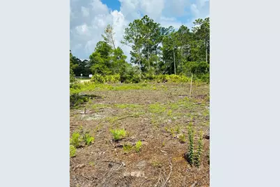 2873 Laurel Road, Deland, FL 32724 - Photo 3