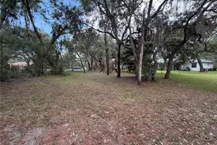 18749 Lansford Dr, Hudson, FL 34667 - Photo 47