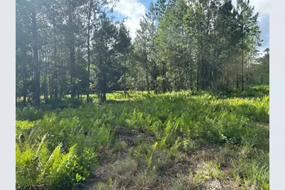 0 N US Hwy 17, Seville, FL 32190 - Photo 5