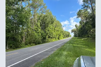 0 N US Hwy 17, Seville, FL 32190 - Photo 3