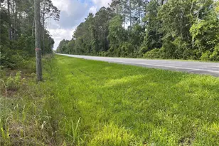 0 N US Hwy 17, Seville, FL 32190 - Photo 1