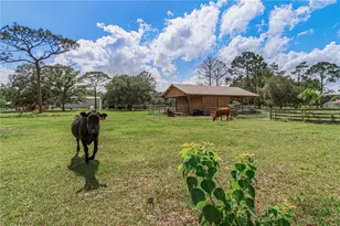 1140 Saddle Run, New Smyrna Beach, FL 32168 - Photo 59