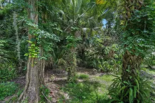 10 Cotton Mill Ct, Ormond Beach, FL 32174 - Photo 53