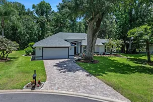 10 Cotton Mill Ct, Ormond Beach, FL 32174 - Photo 1