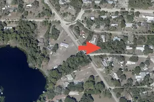 Palmetto Circle, Paisley, FL 32767 - Photo 1