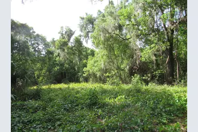 Oak Valley Drive, Deland, FL 32720 - Photo 5