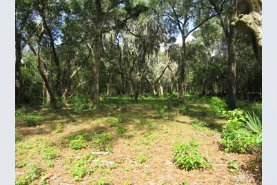 Oak Valley Drive, Deland, FL 32720 - Photo 3