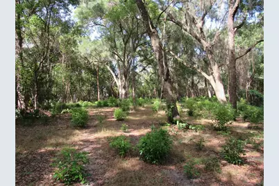 Oak Valley Drive, Deland, FL 32720 - Photo 1
