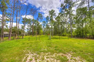 305 Padrick Ave, Deland, FL 32720 - Photo 55