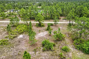 1046 Chandlee St, Lehigh Acres, FL 33974 - Photo 17