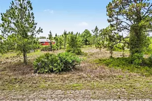 1046 Chandlee St, Lehigh Acres, FL 33974 - Photo 3