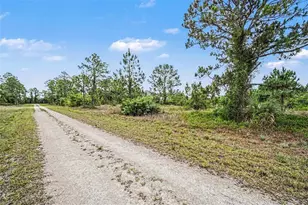 1046 Chandlee St, Lehigh Acres, FL 33974 - Photo 19